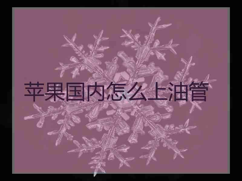 苹果国内怎么上油管