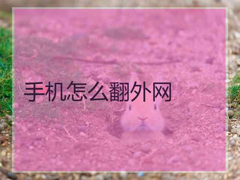 手机怎么翻外网