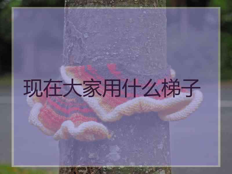 现在大家用什么梯子