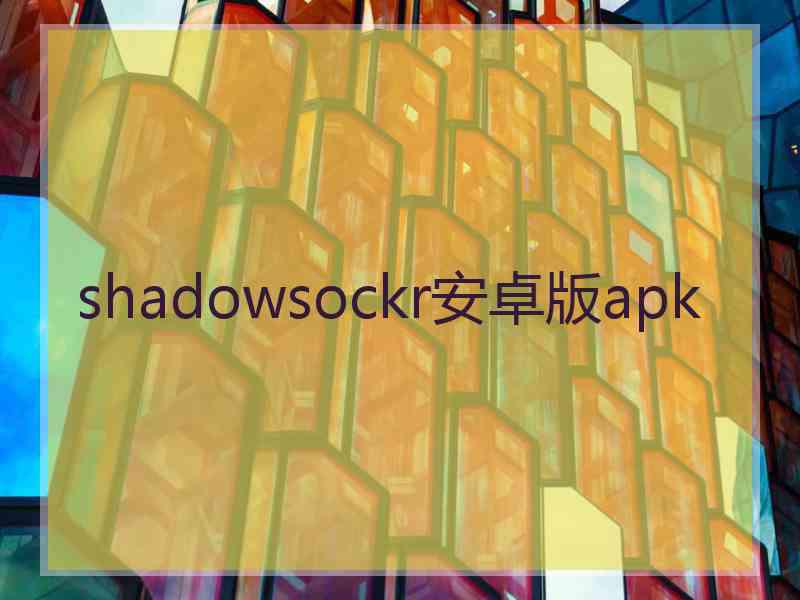 shadowsockr安卓版apk