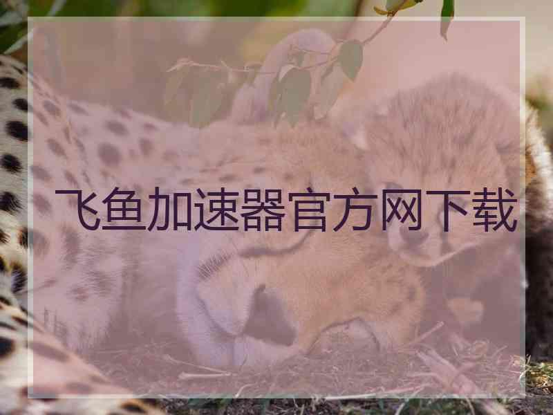 飞鱼加速器官方网下载