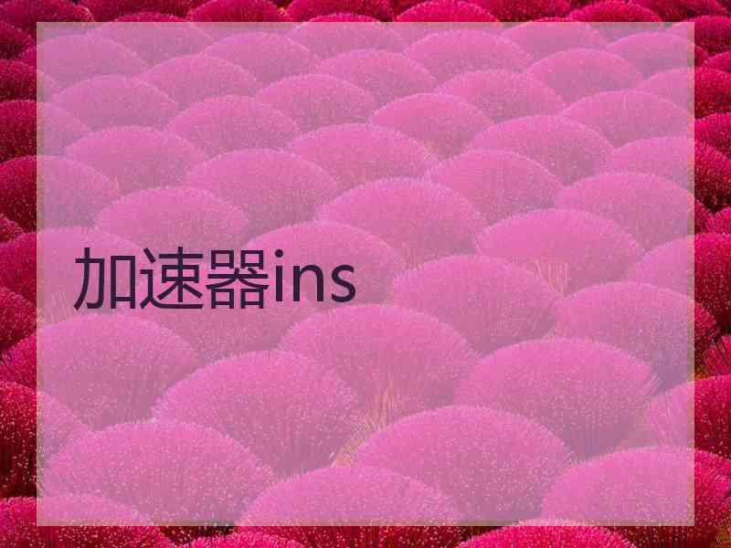 加速器ins
