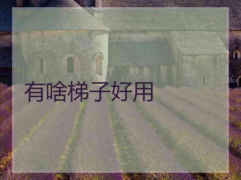 有啥梯子好用