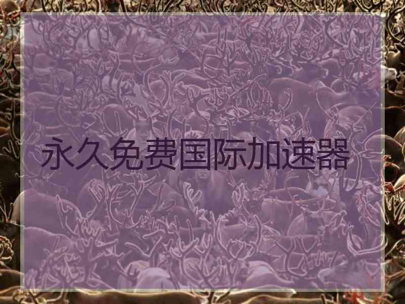 永久免费国际加速器