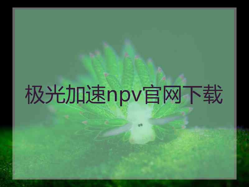 极光加速npv官网下载