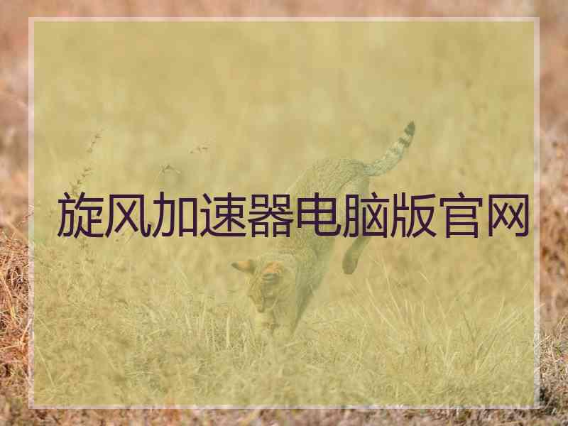旋风加速器电脑版官网
