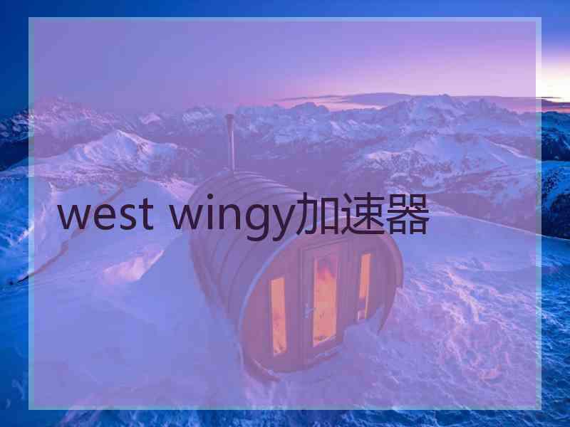 west wingy加速器