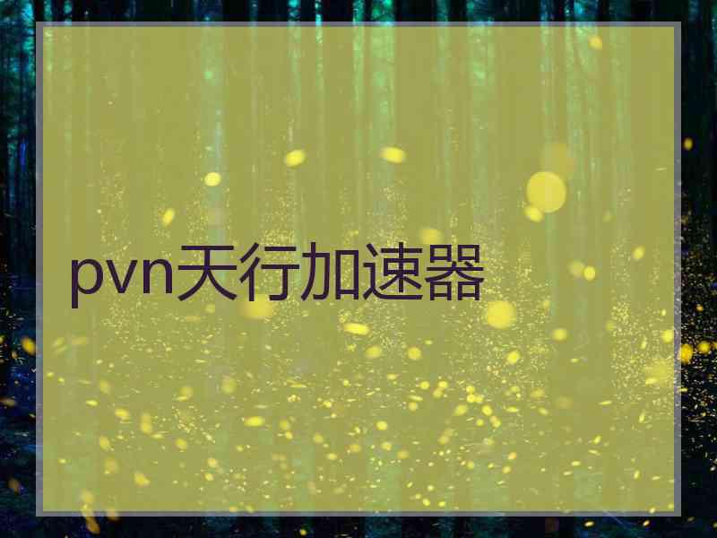 pvn天行加速器