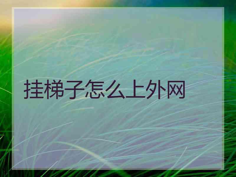 挂梯子怎么上外网