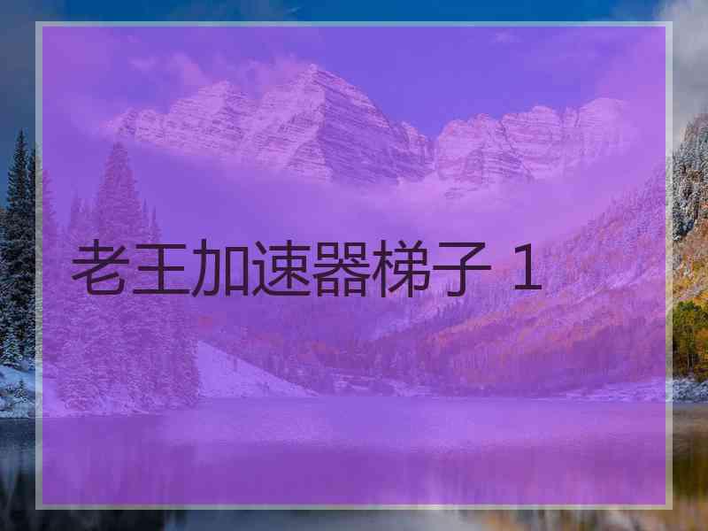 老王加速器梯子 1