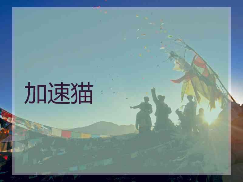 加速猫