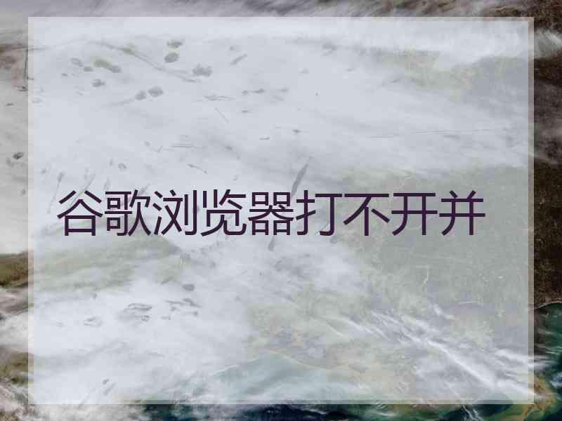 谷歌浏览器打不开并