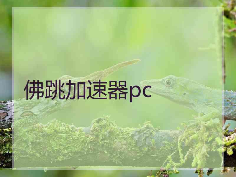 佛跳加速器pc