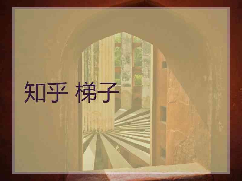 知乎 梯子