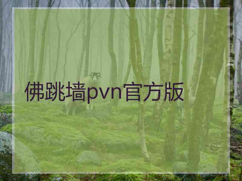 佛跳墙pvn官方版