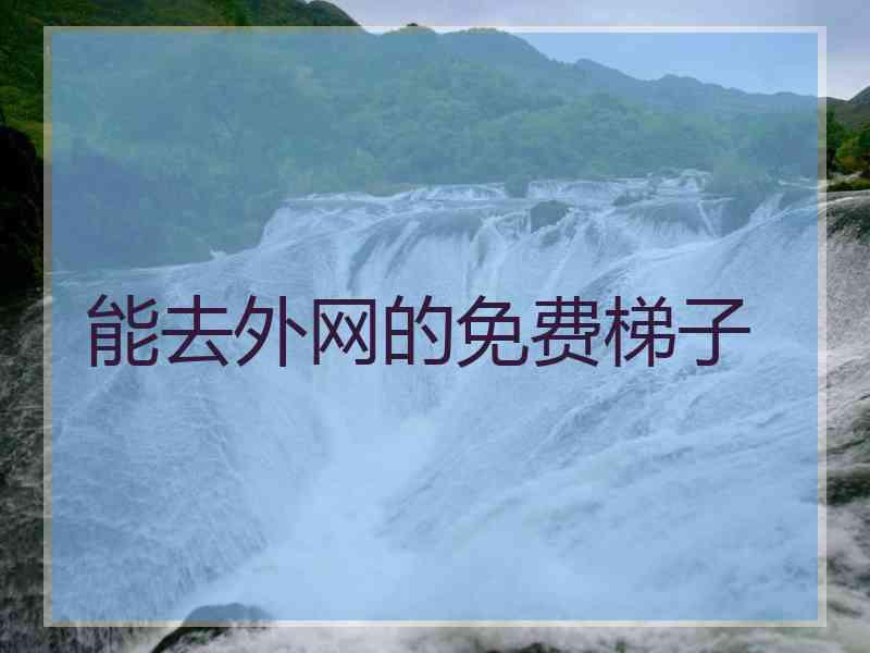 能去外网的免费梯子