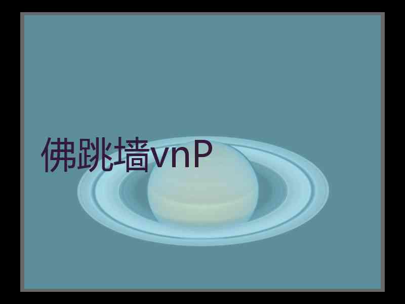 佛跳墙vnP