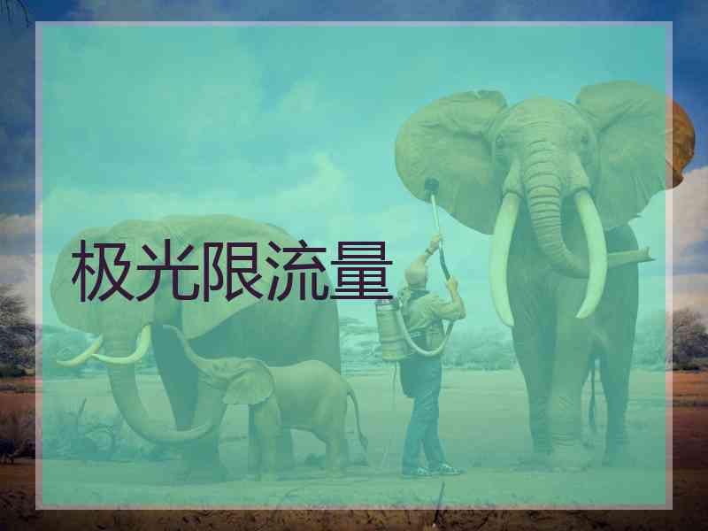 极光限流量