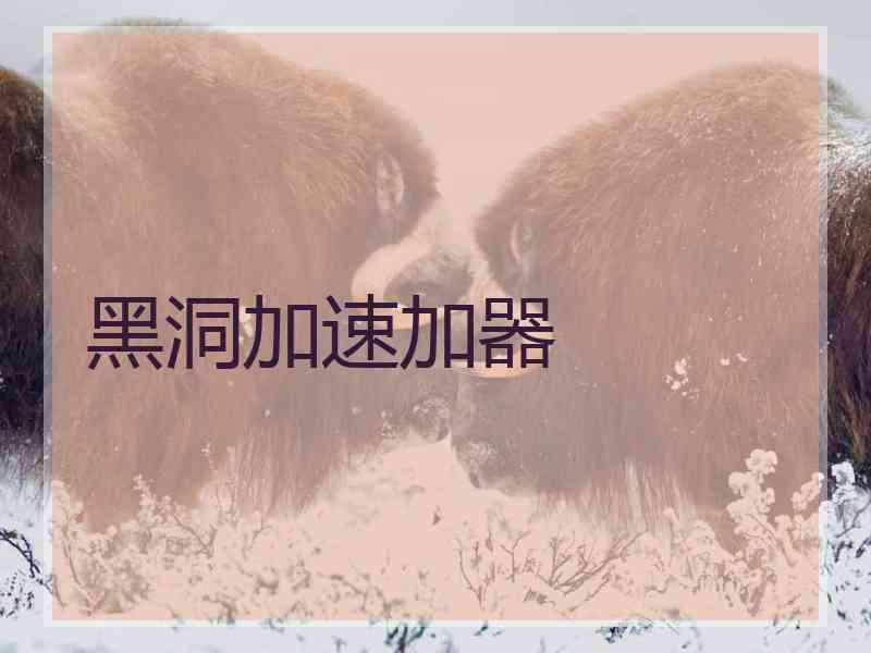 黑洞加速加器