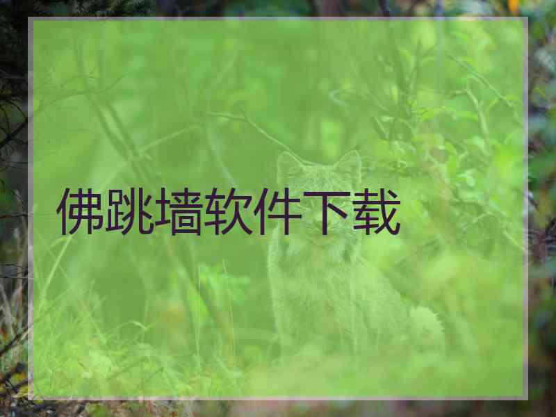 佛跳墙软件下载