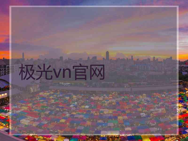 极光vn官网