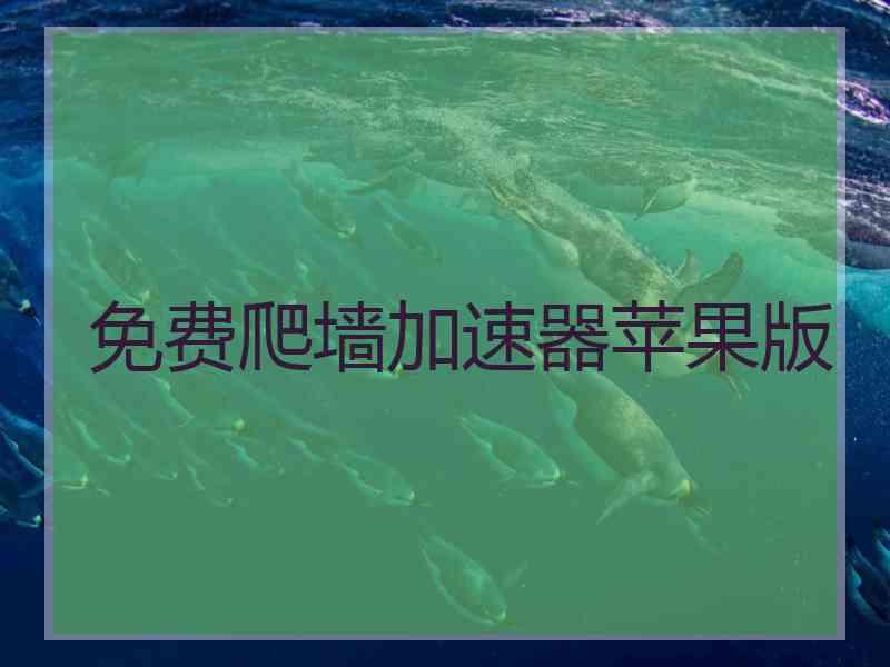 免费爬墙加速器苹果版