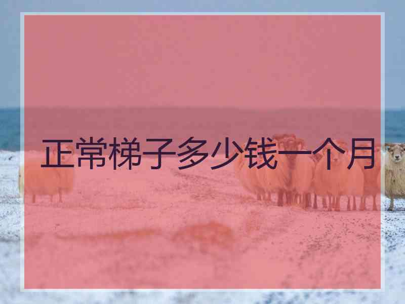 正常梯子多少钱一个月