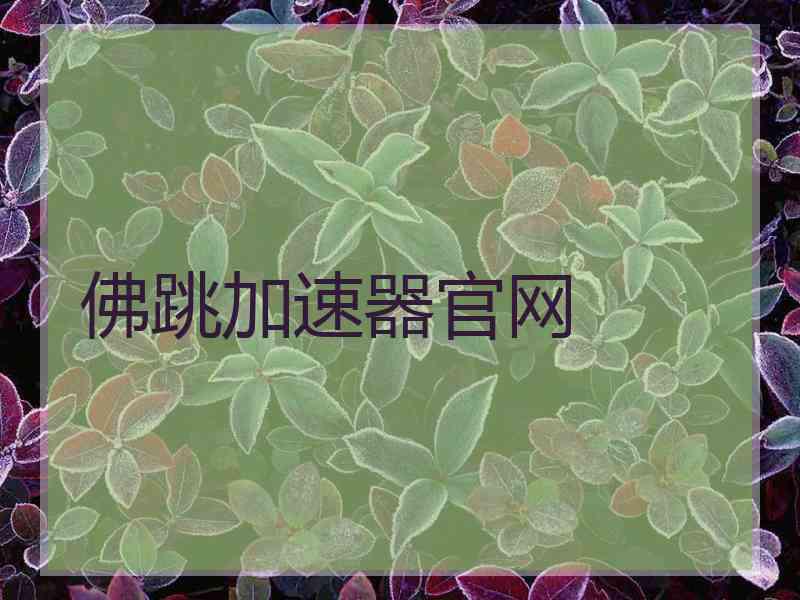 佛跳加速器官网