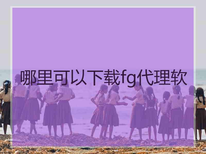 哪里可以下载fg代理软