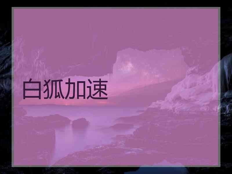白狐加速