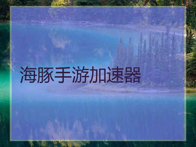 海豚手游加速器