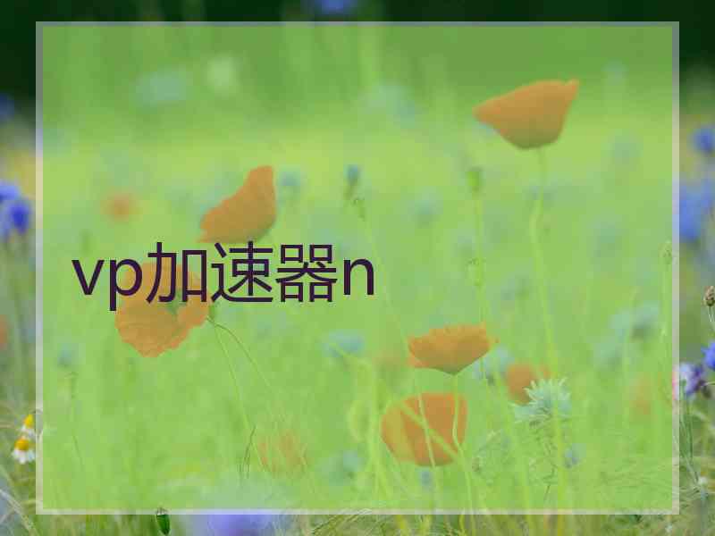 vp加速器n