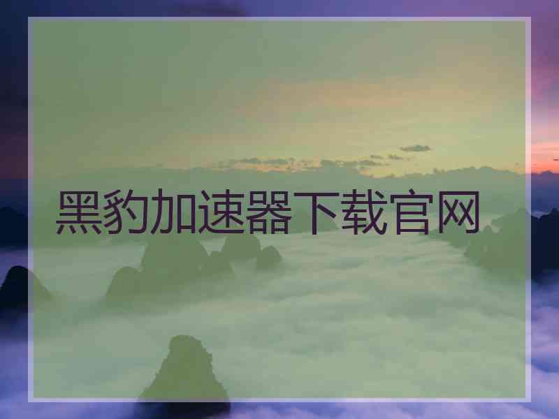 黑豹加速器下载官网