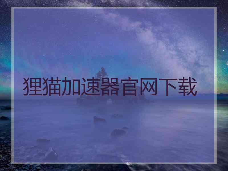 狸猫加速器官网下载