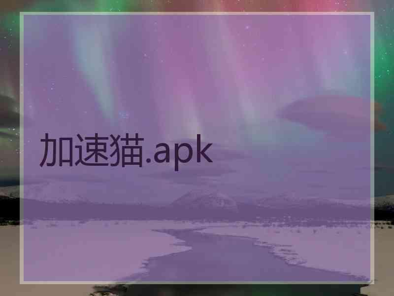 加速猫.apk