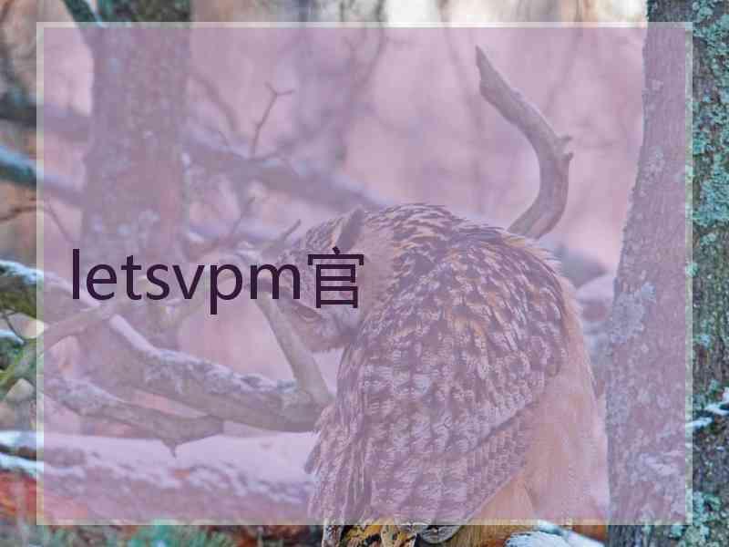 letsvpm官
