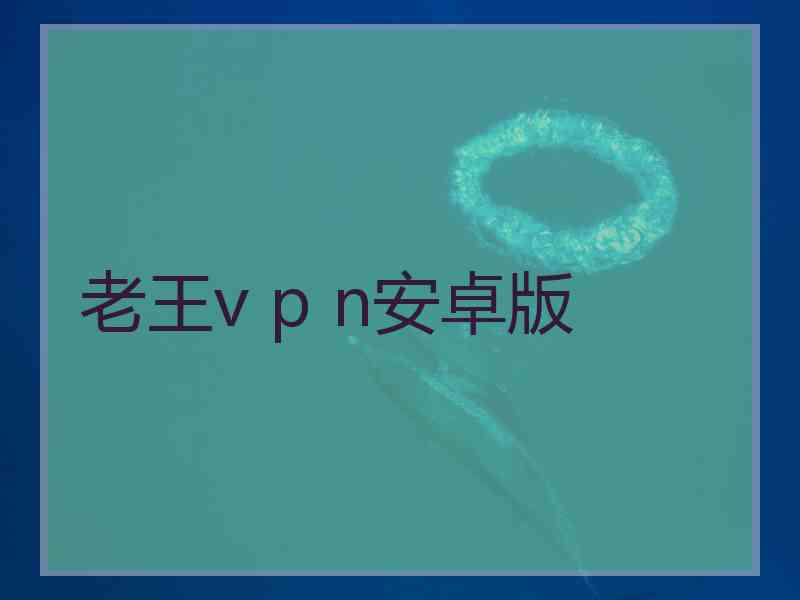 老王v p n安卓版