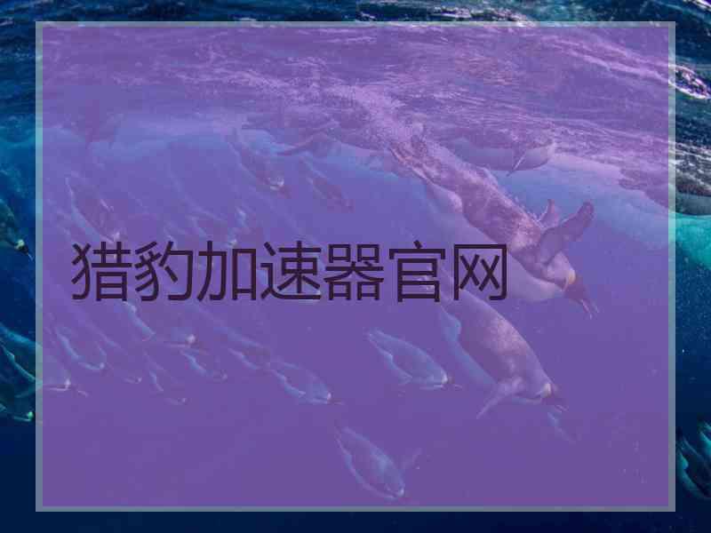 猎豹加速器官网