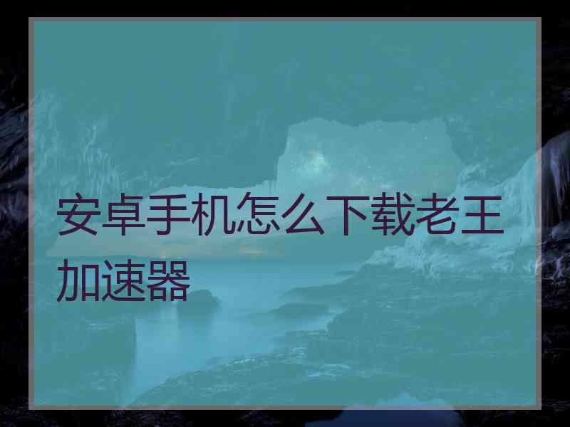 安卓手机怎么下载老王加速器