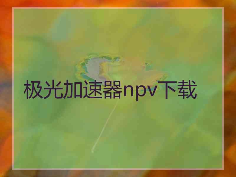 极光加速器npv下载