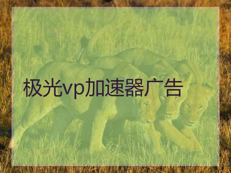 极光vp加速器广告