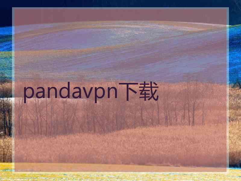 pandavpn下载