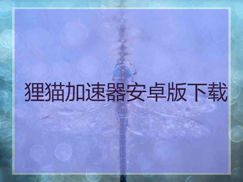 狸猫加速器安卓版下载