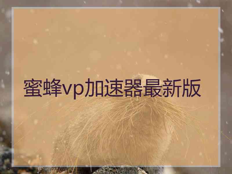 蜜蜂vp加速器最新版