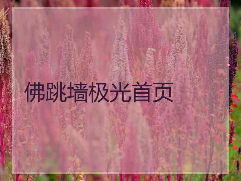 佛跳墙极光首页
