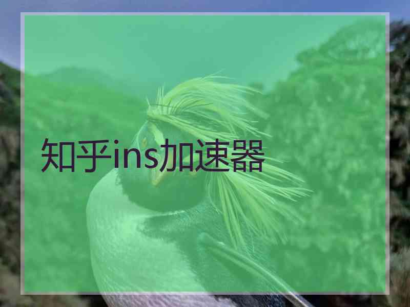 知乎ins加速器