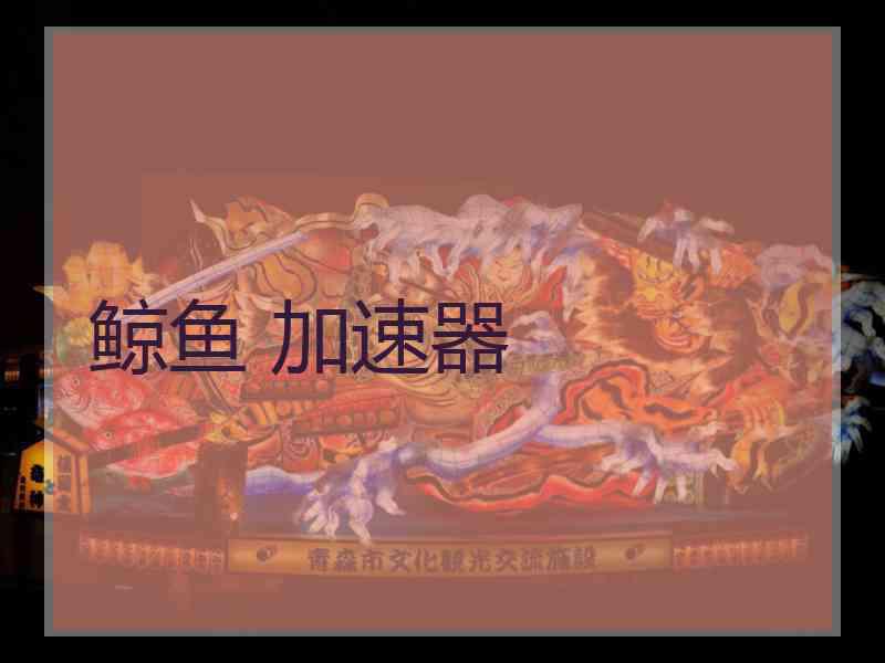鲸鱼 加速器