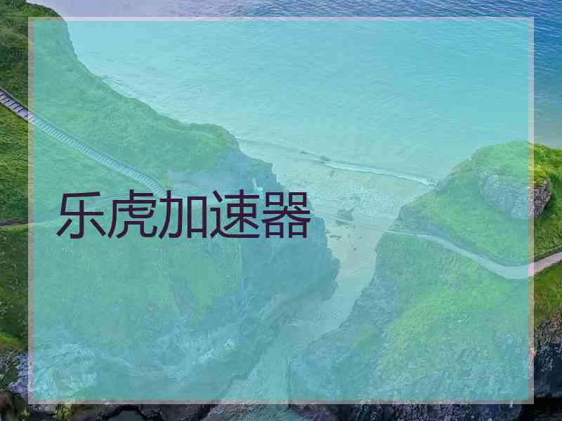 乐虎加速器