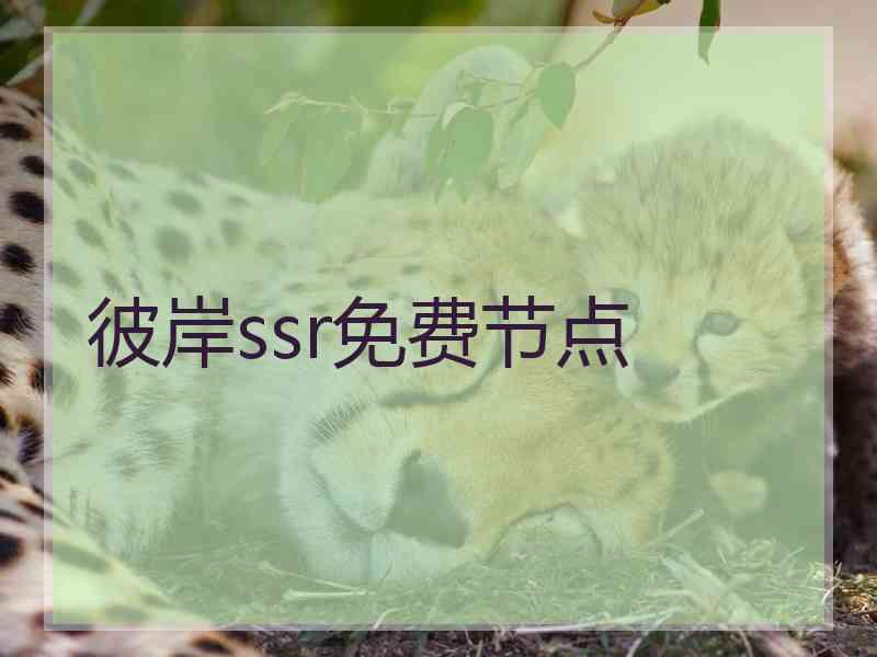 彼岸ssr免费节点