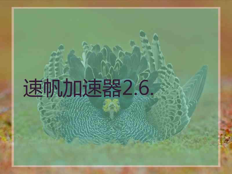 速帆加速器2.6.